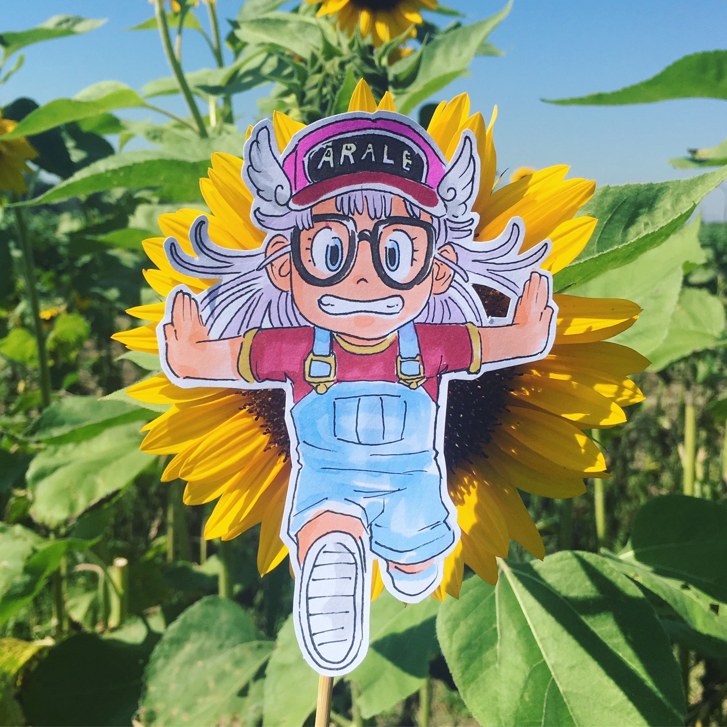 arale